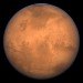 Sporosarcina pasteurii, mars, nasa, brick, mortar, synthetic biology