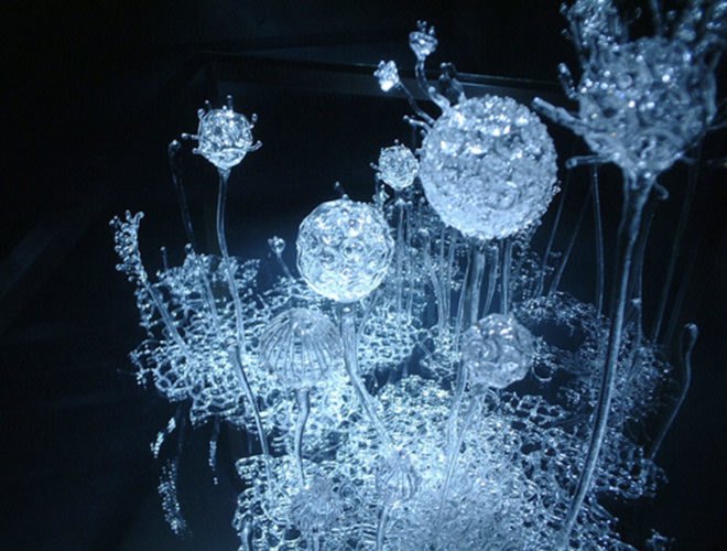 mika aoki, singing glass, sculpture, microscopic, artist, glass, blown glass