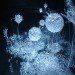 mika aoki, singing glass, sculpture, microscopic, artist, glass, blown glass