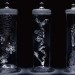 mika aoki, singing glass, sculpture, microscopic, artist, glass, blown glass