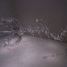 mika aoki, singing glass, sculpture, microscopic, artist, glass, blown glass