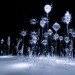 mika aoki, singing glass, sculpture, microscopic, artist, glass, blown glass