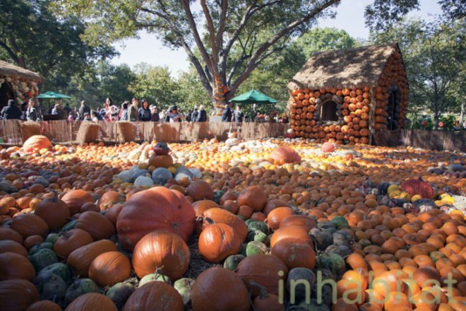 Cinderella’s Pumpkin Village, Dallas Arboretum, pumpkin patch, pumpkin village, Halloween, pumpkins
