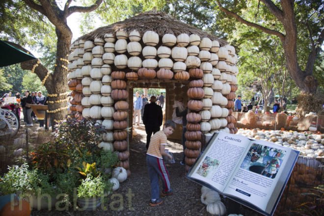 Cinderella’s Pumpkin Village, Dallas Arboretum, pumpkin patch, pumpkin village, Halloween, pumpkins