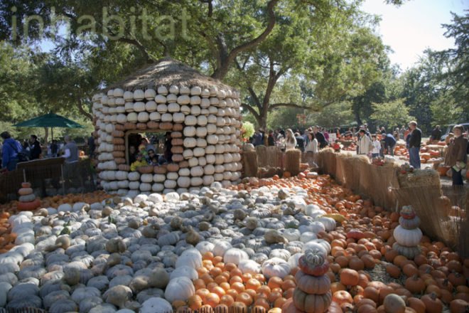 Cinderella’s Pumpkin Village, Dallas Arboretum, pumpkin patch, pumpkin village, Halloween, pumpkins
