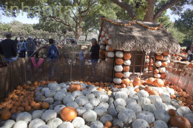 Cinderella’s Pumpkin Village, Dallas Arboretum, pumpkin patch, pumpkin village, Halloween, pumpkins
