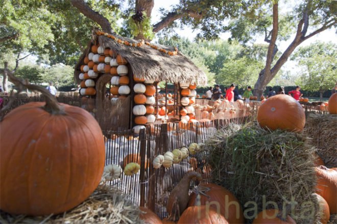 Cinderella’s Pumpkin Village, Dallas Arboretum, pumpkin patch, pumpkin village, Halloween, pumpkins