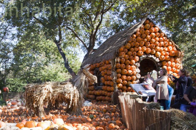 Cinderella’s Pumpkin Village, Dallas Arboretum, pumpkin patch, pumpkin village, Halloween, pumpkins