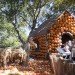 Cinderella’s Pumpkin Village, Dallas Arboretum, pumpkin patch, pumpkin village, Halloween, pumpkins