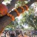 Cinderella’s Pumpkin Village, Dallas Arboretum, pumpkin patch, pumpkin village, Halloween, pumpkins
