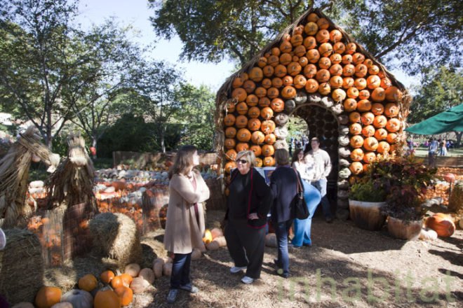 Cinderella’s Pumpkin Village, Dallas Arboretum, pumpkin patch, pumpkin village, Halloween, pumpkins