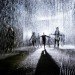 rain room, random international, barbican centre, weather installation, sustainable art, green art, interactive artwork