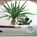 curly productions, xbox 360, xbox 360 planter, recycled video game system, green design, recycled materials, indoor planter. sustainable design, recycled e-waste, gardening, indoor gardening, repurposed video game console, recycled xbox
