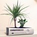 curly productions, xbox 360, xbox 360 planter, recycled video game system, green design, recycled materials, indoor planter. sustainable design, recycled e-waste, gardening, indoor gardening, repurposed video game console, recycled xbox