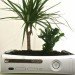 curly productions, xbox 360, xbox 360 planter, recycled video game system, green design, recycled materials, indoor planter. sustainable design, recycled e-waste, gardening, indoor gardening, repurposed video game console, recycled xbox