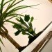 curly productions, xbox 360, xbox 360 planter, recycled video game system, green design, recycled materials, indoor planter. sustainable design, recycled e-waste, gardening, indoor gardening, repurposed video game console, recycled xbox