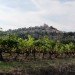 SCAD, SCAD Lacoste, marquis de sade, village restoration, french architecture, southern french architecture,