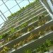 green design, eco design, sustainable design, Vertical farm, world's first commercial vertical farm, sky greens farms, Singapore vertical farm, fairprice finest supermarket