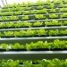 green design, eco design, sustainable design, Vertical farm, world's first commercial vertical farm, sky greens farms, Singapore vertical farm, fairprice finest supermarket