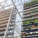 green design, eco design, sustainable design, Vertical farm, world's first commercial vertical farm, sky greens farms, Singapore vertical farm, fairprice finest supermarket