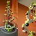 Tannenboing, green holiday decor, green holidays, eco holiday decor, eco holidays, green design, eco design, sustainable design, green products, eco friendly products, green holiday lights, led holiday lights, led christmas lights, led lights, green lights, green christmas tree, eco christmas tree, recycled christmas tree, eco friendly christmas decor, green holiday decorations