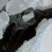 Polar Ice Cap Melting, Antarctic melt, Greenland melt, sea level rising, ocean levels rising, polar ice caps melting faster, global warming ice melt, sea level increase causes