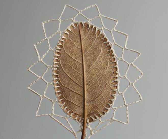 susanna bauer, crochet, embroidery, organic, natural objects, leaf, lace