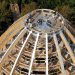 tree top, eco-tourism, eco travel, green destinations, world's longest treetop walkway, egg-shaped walkway, Germany, Bavarian Forest National Park, riskless adventure, nature, spiraling walkway, green design, sustainable design, eco design