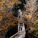 tree top, eco-tourism, eco travel, green destinations, world's longest treetop walkway, egg-shaped walkway, Germany, Bavarian Forest National Park, riskless adventure, nature, spiraling walkway, green design, sustainable design, eco design