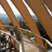 tree top, eco-tourism, eco travel, green destinations, world's longest treetop walkway, egg-shaped walkway, Germany, Bavarian Forest National Park, riskless adventure, nature, spiraling walkway, green design, sustainable design, eco design