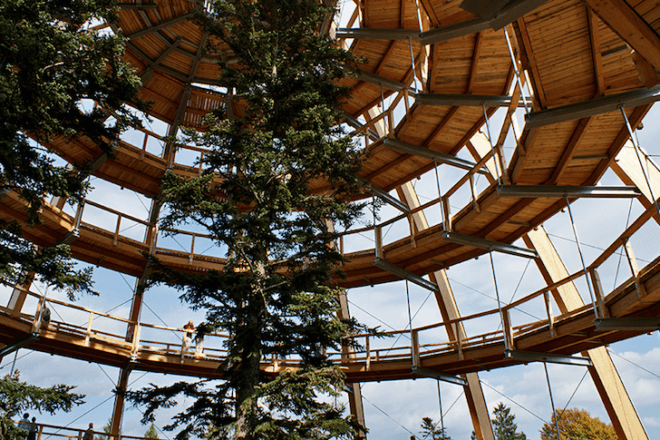 tree top, eco-tourism, eco travel, green destinations, world's longest treetop walkway, egg-shaped walkway, Germany, Bavarian Forest National Park, riskless adventure, nature, spiraling walkway, green design, sustainable design, eco design