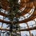 tree top, eco-tourism, eco travel, green destinations, world's longest treetop walkway, egg-shaped walkway, Germany, Bavarian Forest National Park, riskless adventure, nature, spiraling walkway, green design, sustainable design, eco design
