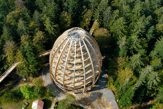 tree top, eco-tourism, eco travel, green destinations, world's longest treetop walkway, egg-shaped walkway, Germany, Bavarian Forest National Park, riskless adventure, nature, spiraling walkway, green design, sustainable design, eco design