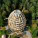 tree top, eco-tourism, eco travel, green destinations, world's longest treetop walkway, egg-shaped walkway, Germany, Bavarian Forest National Park, riskless adventure, nature, spiraling walkway, green design, sustainable design, eco design
