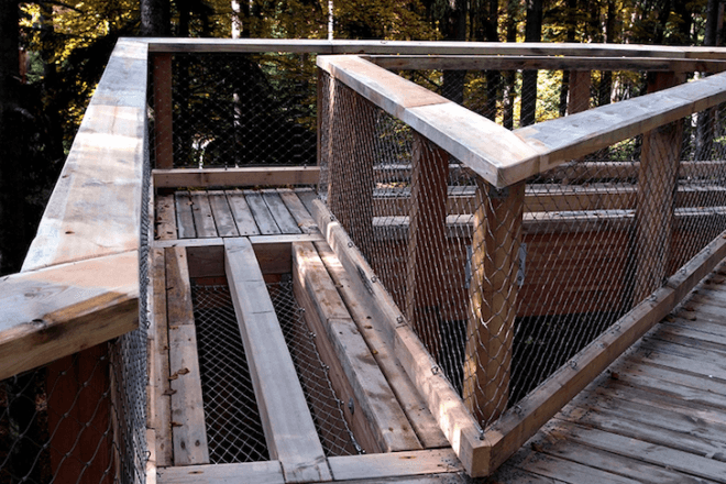 tree top, eco-tourism, eco travel, green destinations, world's longest treetop walkway, egg-shaped walkway, Germany, Bavarian Forest National Park, riskless adventure, nature, spiraling walkway, green design, sustainable design, eco design