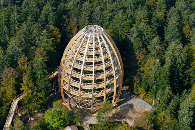 tree top, eco-tourism, eco travel, green destinations, world's longest treetop walkway, egg-shaped walkway, Germany, Bavarian Forest National Park, riskless adventure, nature, spiraling walkway, green design, sustainable design, eco design