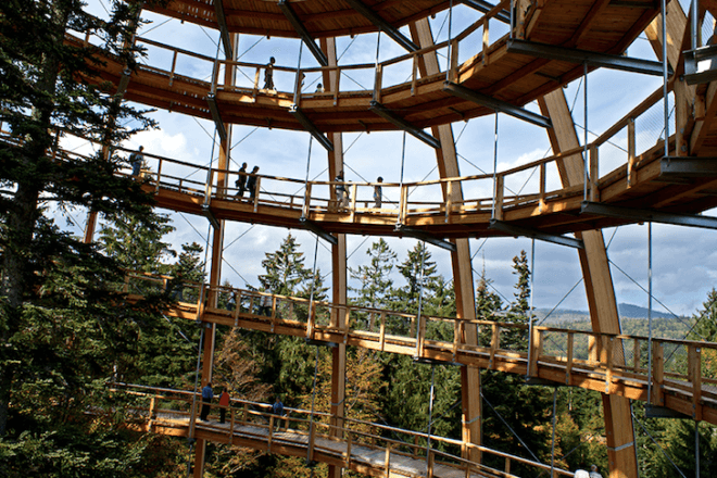 tree top, eco-tourism, eco travel, green destinations, world's longest treetop walkway, egg-shaped walkway, Germany, Bavarian Forest National Park, riskless adventure, nature, spiraling walkway, green design, sustainable design, eco design