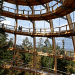 tree top, eco-tourism, eco travel, green destinations, world's longest treetop walkway, egg-shaped walkway, Germany, Bavarian Forest National Park, riskless adventure, nature, spiraling walkway, green design, sustainable design, eco design