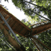 tree top, eco-tourism, eco travel, green destinations, world's longest treetop walkway, egg-shaped walkway, Germany, Bavarian Forest National Park, riskless adventure, nature, spiraling walkway, green design, sustainable design, eco design