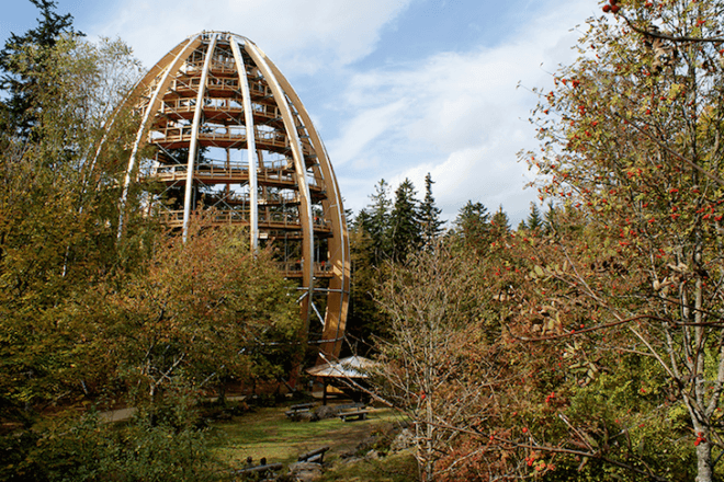 tree top, eco-tourism, eco travel, green destinations, world's longest treetop walkway, egg-shaped walkway, Germany, Bavarian Forest National Park, riskless adventure, nature, spiraling walkway, green design, sustainable design, eco design