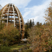 tree top, eco-tourism, eco travel, green destinations, world's longest treetop walkway, egg-shaped walkway, Germany, Bavarian Forest National Park, riskless adventure, nature, spiraling walkway, green design, sustainable design, eco design