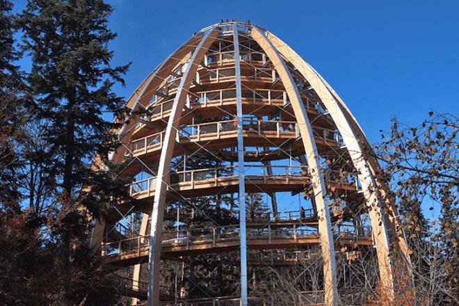 tree top, eco-tourism, eco travel, green destinations, world's longest treetop walkway, egg-shaped walkway, Germany, Bavarian Forest National Park, riskless adventure, nature, spiraling walkway, green design, sustainable design, eco design