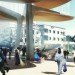 tomdavid architecten, market square casablanca, sustainable design, green design, public architecture, canopy structure, reused water, [ac-ca] competition,