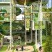 Delhi Pollution Control Committee, M:OFA, living building, pollution filter, urban filter, eco office, new delhi