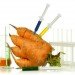 GMO, Genetically Modified Food, Monsanto, Peru, food, heritage food species, biodiversity, GMO, corn, Policy, GMO Ban, GMO laws, environmental news