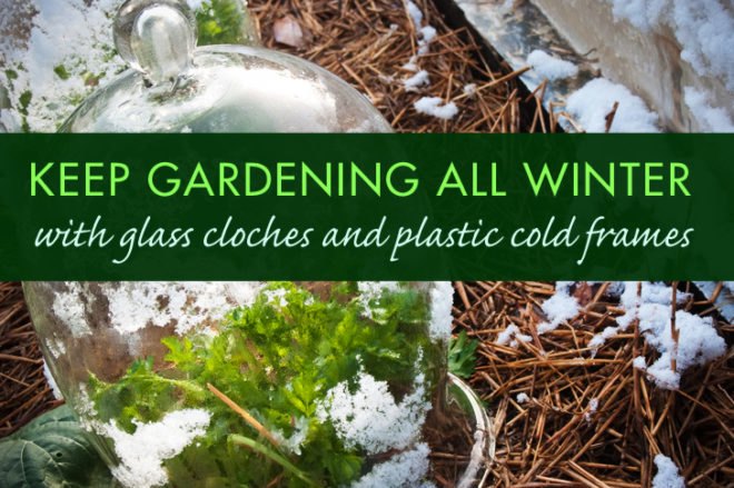 Extension gardening, cloches, hoophouse, greenhouse, winter garden