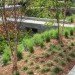 Guthrie Green Park, SWA Group, urban revitalization, landscape architecture, geothermal, urban park, green park, tulsa