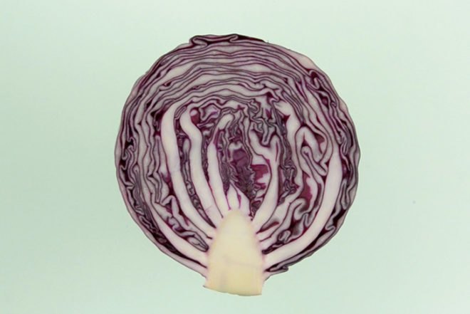 Dutch Design Week 2012, Kirstie Van Noort, Rogier Arents, Ana Lisa Alperovich, Dutch invertuals, Eindhoven, red cabbage, tableware, ceramic, ph, Green Products, Sustainable Food