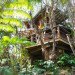 Kilauea Volcano, roderick romero, treehouse, sustainable design, green design, hawaii, green building, green treehouse, rainforest weddings, sustainable architecture, green architecture, Mahinui Na Lani
