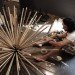 Massoud Hassani, The Mine Kafon, Design Academy of Eindhoven, MOMA, renewable bamboo, biodegradable plastic, Art, Green Materials, Wind Power, Zero energy, Recycled Materials, social responsibility, humanitarian design,